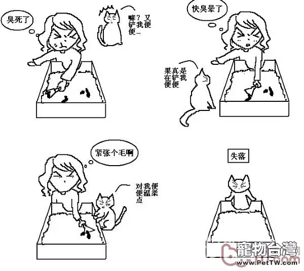 貓咪行為圖解:養過貓的都懂 