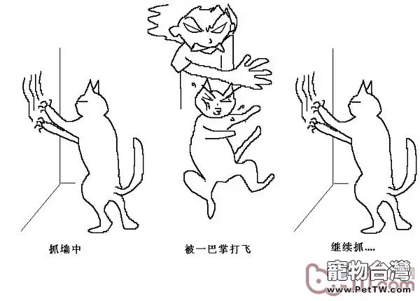 貓咪行為圖解:養過貓的都懂 