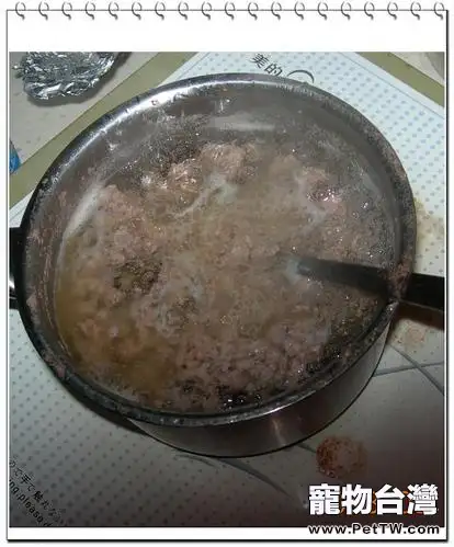 貓咪自製美食之牛肉芝士飯的完全圖解版 