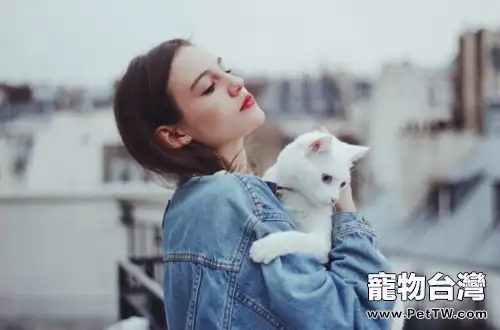 溫柔小天使,抱貓技巧大公開(共2張圖片)-寵物台灣