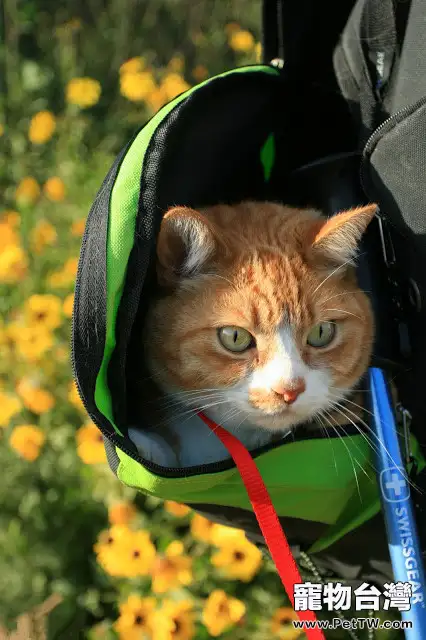 最快樂的事，是和黃咪一起出遊