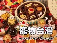 貓咪為什麼不愛吃甜食