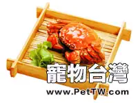 貓咪為什麼不愛吃甜食