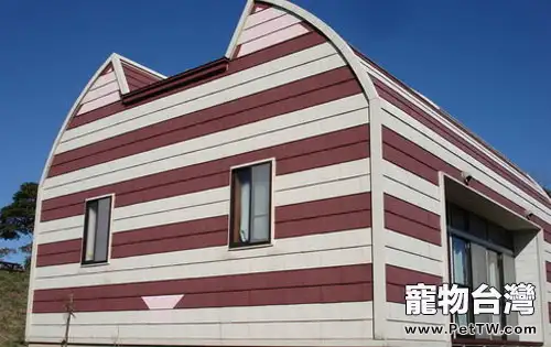 日本人的愛貓情結 日本人的愛貓情結