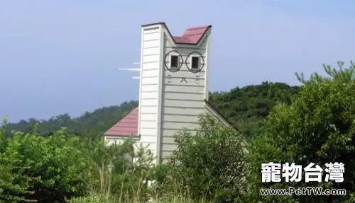 日本人的愛貓情結 日本人的愛貓情結