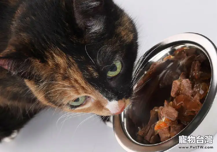 貓咪用具需要經常消毒清潔（1圖）-寵物台灣