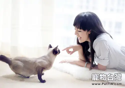 貓咪難親近，獲取貓咪信任有妙法