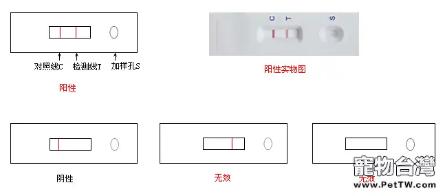 波斯貓拉肚子怎麼辦