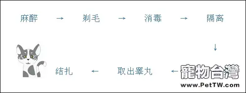 不是每隻流浪貓都適合被圈養