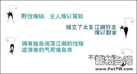 不是每隻流浪貓都適合被圈養