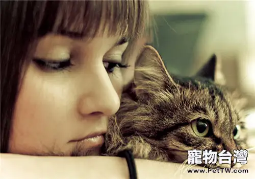 飼養寵物可以緩解壓力(共2張圖片)-寵物台灣