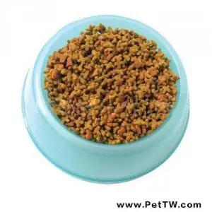 怎麼給貓咪選擇合適的貓糧（1圖）-寵物台灣