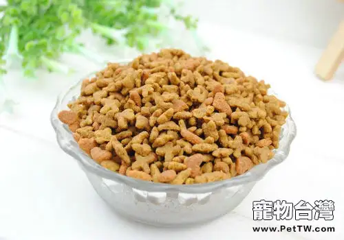 如何辨別貓糧好壞（1圖）-寵物台灣