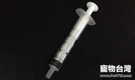四招應對貓咪吃藥難的問題