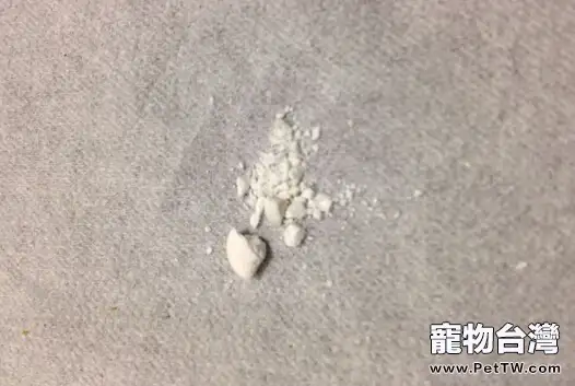 四招應對貓咪吃藥難的問題