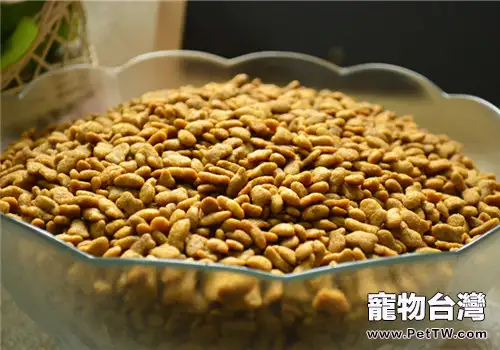 網上訂購貓糧小貼士
