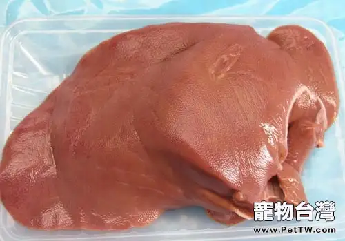 深入瞭解貓咪對維生素的攝入需求