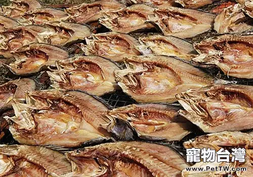 貓吃魚也會有壞處？