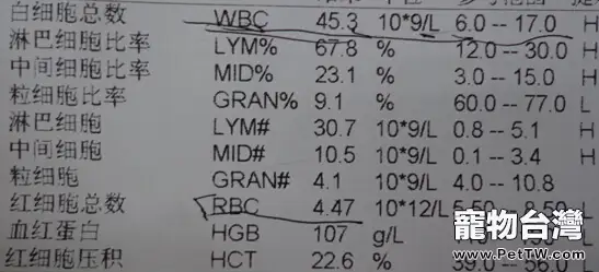 靈緹胰腺炎的診療體會