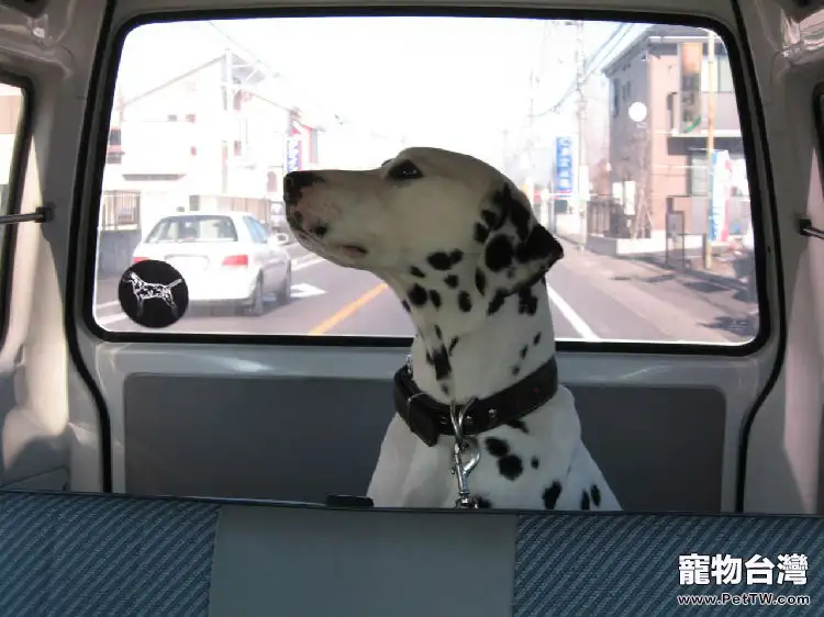 帶狗狗春遊的注意事項