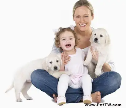 家庭科學飼養寵物之消毒的重要性（1圖）-寵物台灣