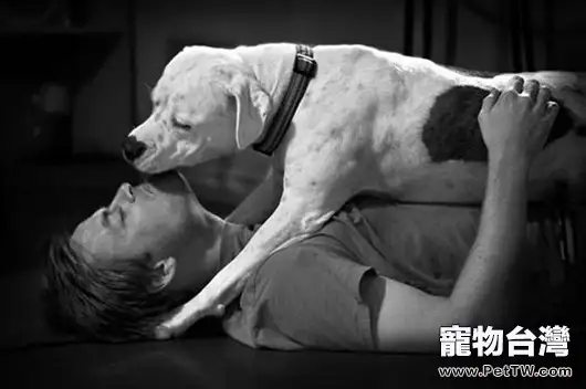 飼養犬貓先瞭解他們的特性(1圖)-寵物台灣
