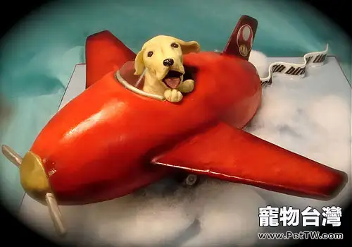 狗狗乘飛機小貼士