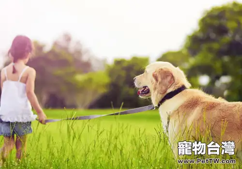 遛狗時讓狗狗在自己前面還是後面