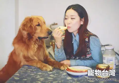 為什麼狗狗喜歡粘著主人(1圖)-寵物台灣