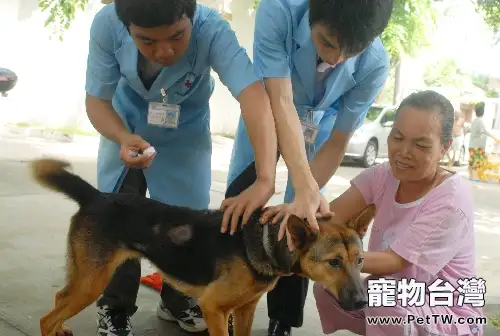 准媽媽也能接種狂犬疫苗了