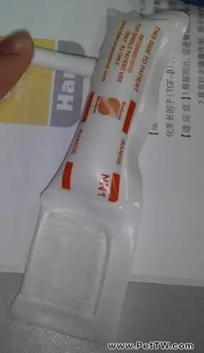 寵物血壓測量的方法與過程