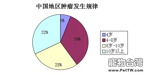 寵物腫瘤常見誤區