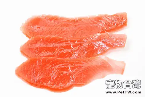 讓狗狗獲得充足的蛋白質
