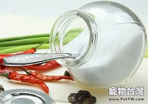 狗狗飲用食鹽不當易造成中毒