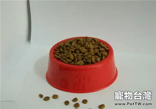 教你從各種角度去認識狗糧