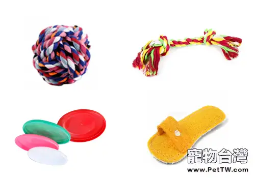 玩具對狗狗到底有多重要