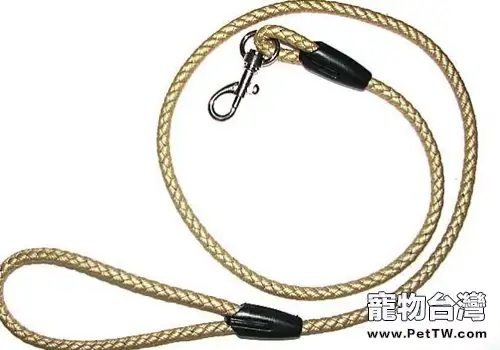 外出遛狗隨行很重要