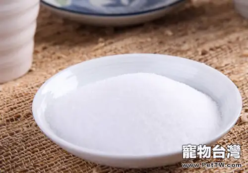 狗狗食鹽中毒怎麼辦