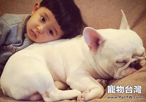 飼養狗狗有助於孩子心理成長(1圖)-寵物台灣