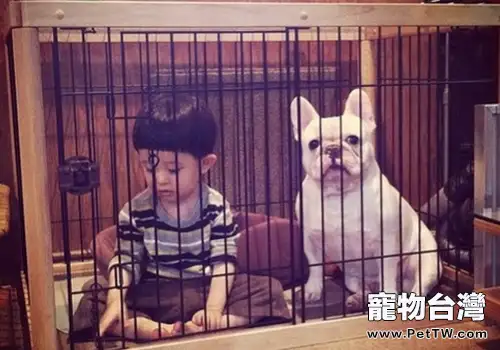不要讓狗狗吃孩子的醋