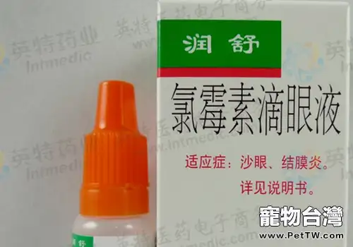 如何照顧患結膜炎的狗狗