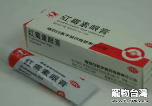 如何照顧患結膜炎的狗狗