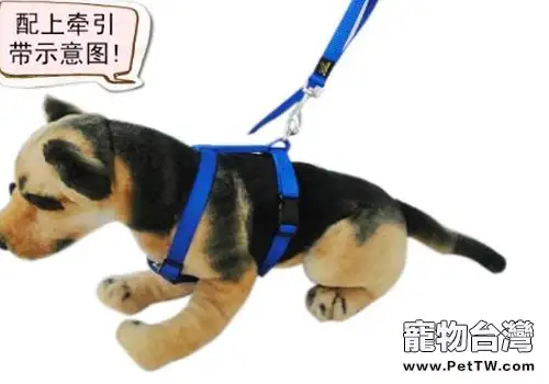 狗狗交通事故糾紛如何處理