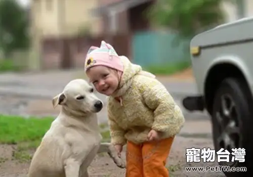孩子害怕狗狗怎麼辦（1圖）-寵物台灣