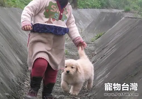 為什麼狗狗喜歡追著小孩