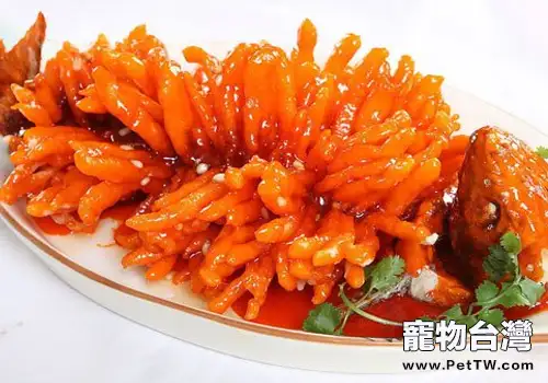 是否該讓狗狗偶爾也吃些苦