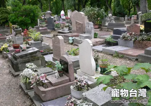 狗狗是否該有自己的墓地