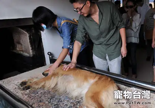 狗狗是否該有自己的墓地