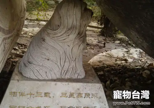 狗狗是否該有自己的墓地