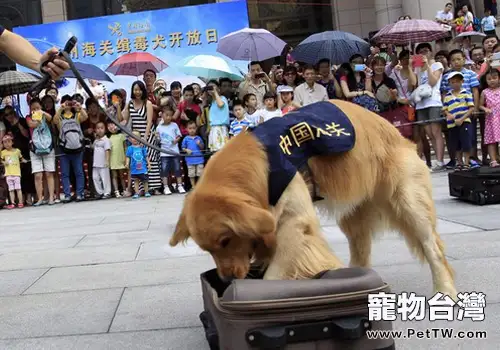 狗狗的鼻子有多少用途
